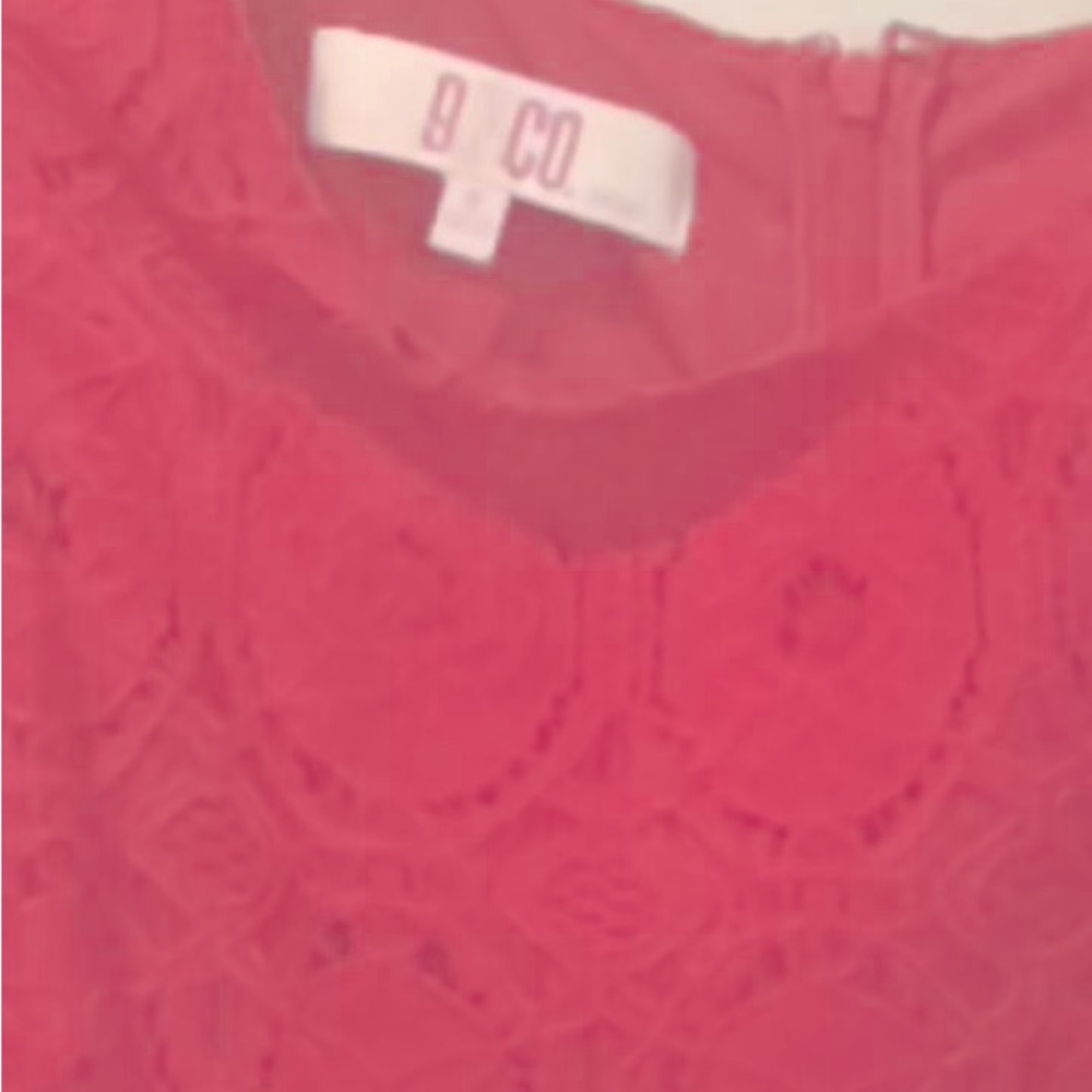 Pretty in Pink Lace Fitted Dress - Picture 3 of 3